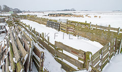 Winter bij de Waddel op de Hogeberg.