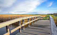 Brug naar Dorpszicht op Texel.