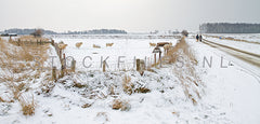 De Hogeberg in de winter.