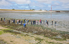 Excursie op het Wad.