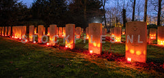 Graven geallieerden op Texel.