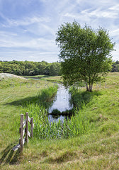 Natuur op Texel.