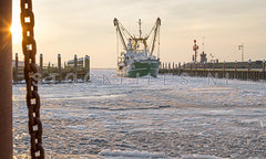 Kotter in de haven van Oudeschild in de winter.