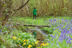 Lekker wandelen door het Texelse bos.