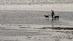 Wandelen door de Waddenzee.