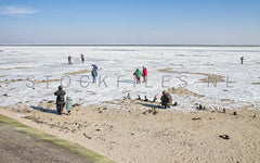 Bevroren Waddenzee.