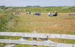 Lunchen in de natuur.