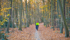 MTB in het bos.