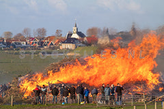 Meierblis in Oudeschild.