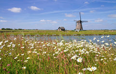 Molen het Noorden.