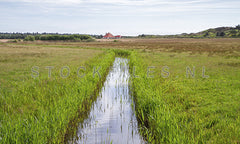 Natuur op Texel.