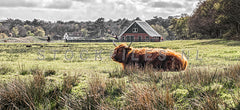 De Ploeglanden op Texel.