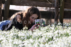Sneeuwklokjes fotograferen.