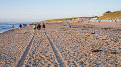 Strand van de Koog.