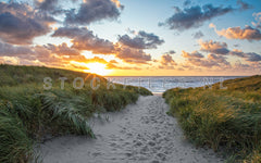 Strandopgang Noordzee.