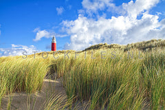 Texelse vuurtoren in het duinlandschap.