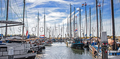 Bruine vloot in de haven van Oudeschild