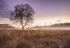 Mistig landschap op landgoed Stakenberg.