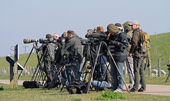 Vogelaars op Texel.