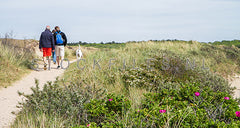 Wandelen door de duinen.