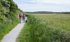 Wandelen door de bossen.