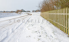 Westergeest op de Hogeberg in de winter.