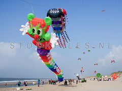 Windfestival op Texel.