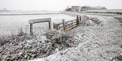 Winter op Texel.