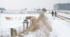 Wandelen over de Hogeberg.