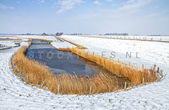 Zaandammerdijk in de winter.