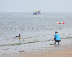 Zeehond fotograferen in de Waddenzee.